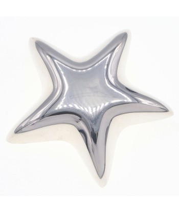 Tiffany Brooch Starfish Motif SV Sterling Silver Ladies Star s'inspire de l'anatomie humaine