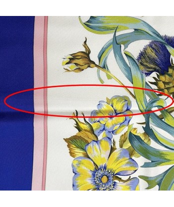 Hermes Ec-14185 Women's Silk Scarf Blue,Green,White s'inspire de l'anatomie humaine